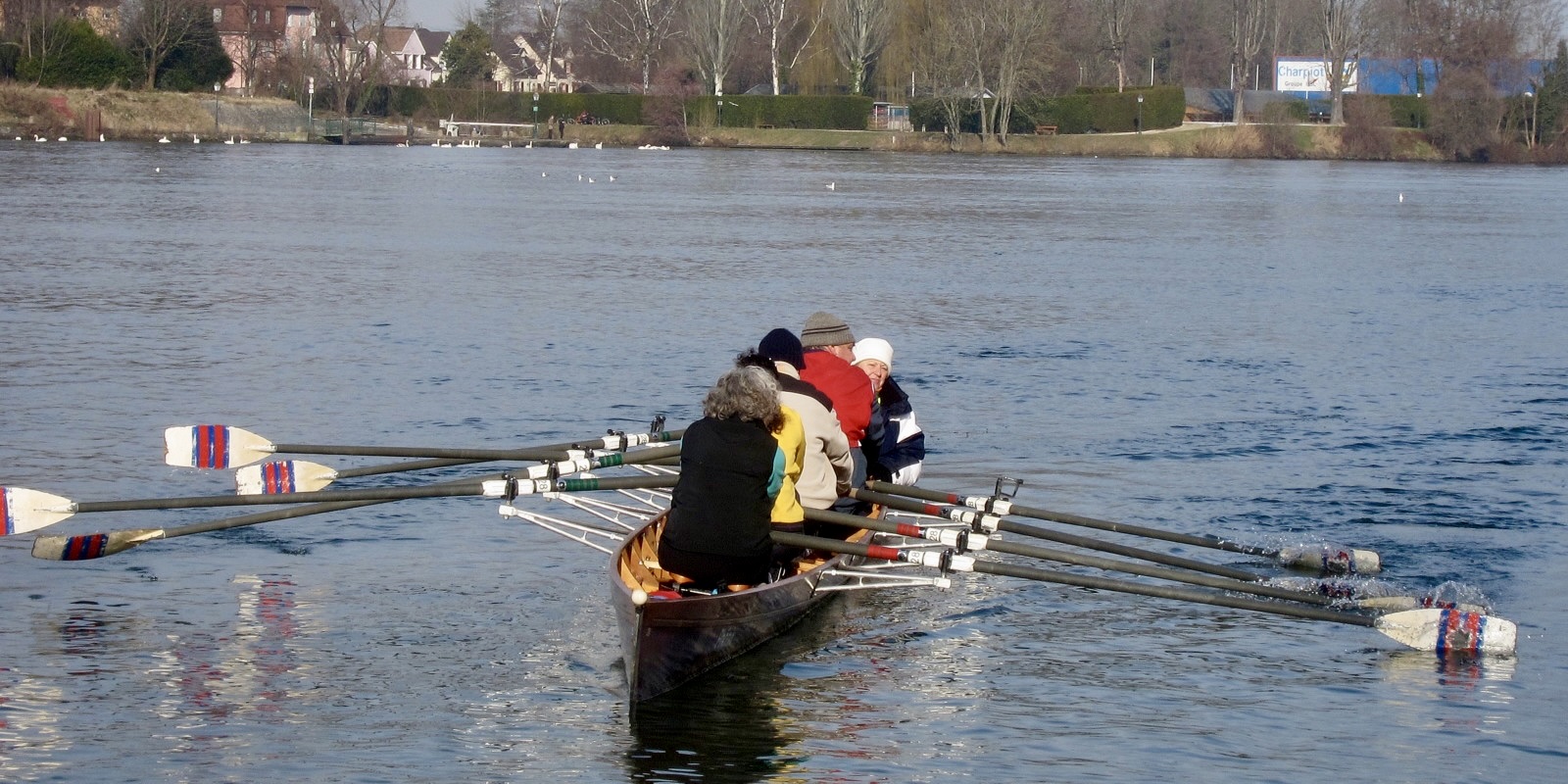 Rudern lernen: Schnupper-Training für Erwachsene