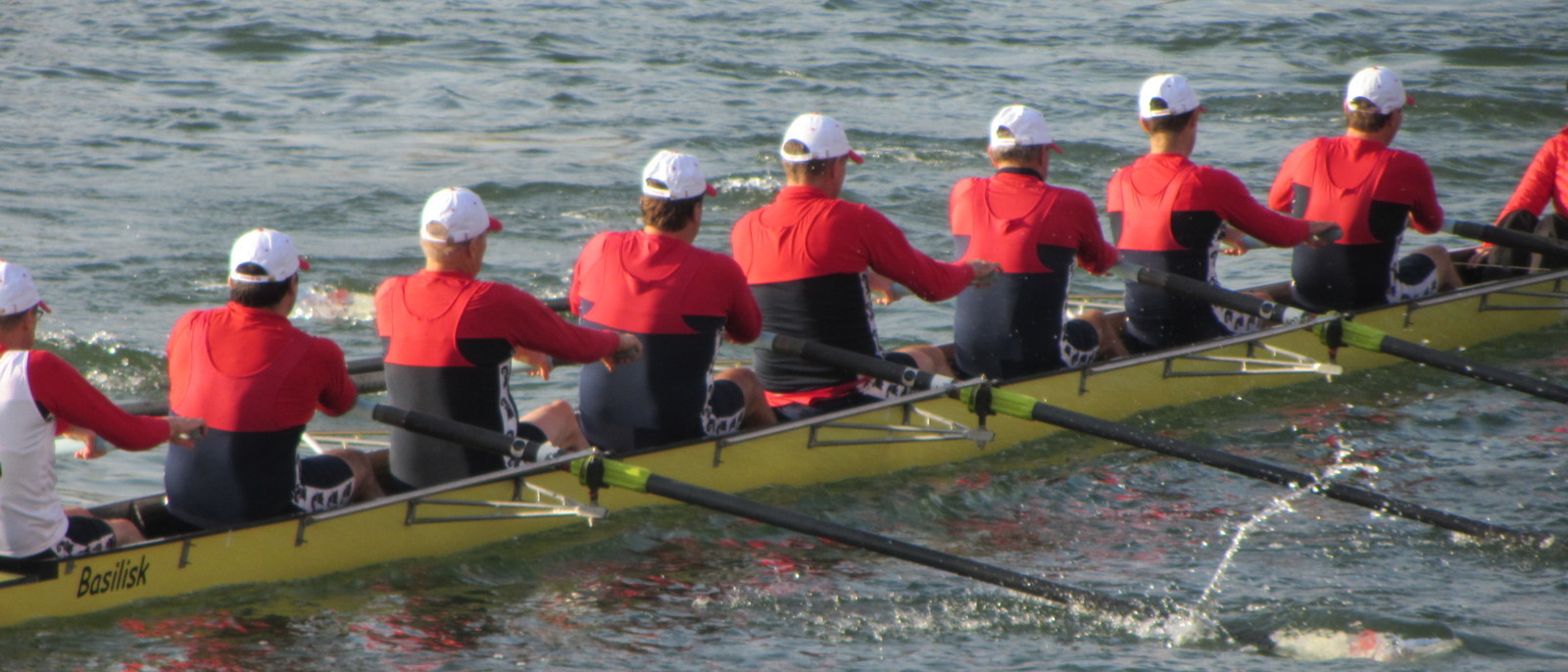 Toller BaselHead 2012