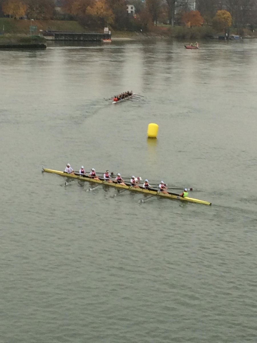 2014 le baselhead 10-900x1200